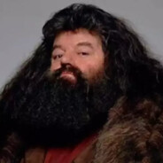 Rubeus Hagrid