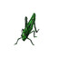 shkesh shkesh's avatar