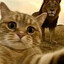 NeLucky's avatar