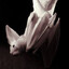 Lilith