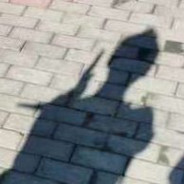 花里胡哨的秃子