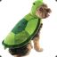Turtledog