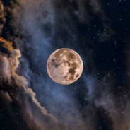 𝘕𝘪𝘨𝘩𝘵.