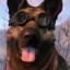 Kobalt