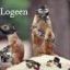 logeen [bd]