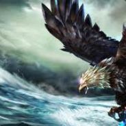 DruidsDogma