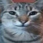 сar Avatar of player сar