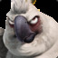 Nigel