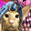 catcatc0t6556