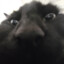 GubGub