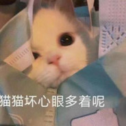 爸爸