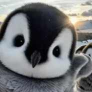 penguin