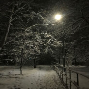 играем только тур