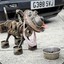 AlieN_ua