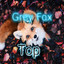 Grey Fox