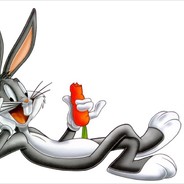 The Real Conejo Malo ♥