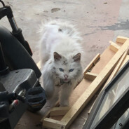 我转转转转转！