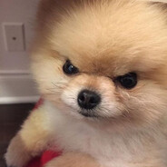 Raulmeny - steam id 76561198122719762