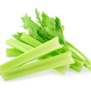 CELERY