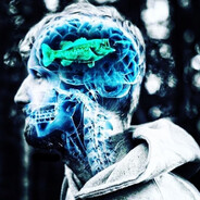Scull