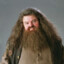 hagrid CSGOSKINS