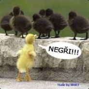 No jo no!! :D