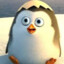 CABO  ( Im-Ghost...!!! )