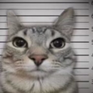 Убитый прошлым