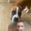 burna bandz