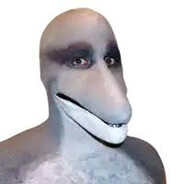 jusbeger