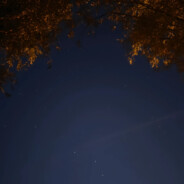 面包会有的，一切都会