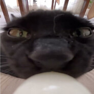 Tralala