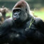 xtremjambon