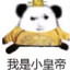 猫meme三金sj