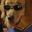 Air Bud