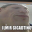 Ильмир Насертдинов