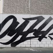 zf`