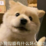 小狗勾能有什么坏心眼