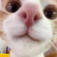 osskyy