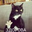 alexmnogot92