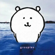 倒霉熊（已有闺蜜）