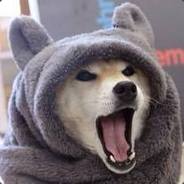 D🌽 My Duck 🌽 XOOB 👾 $LABR🐕 avatar