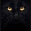 ACat