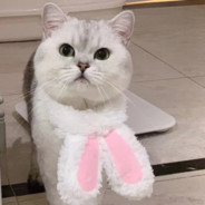 杀死你的是七七大神