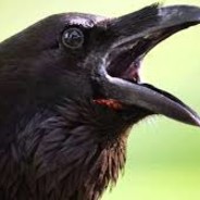 i like geometry dash