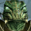 argonian