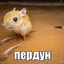 пердун