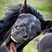 илюша мирный