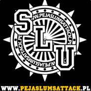 prymus. chętnie zagra MIXa!