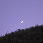 我浑身奶油香香的